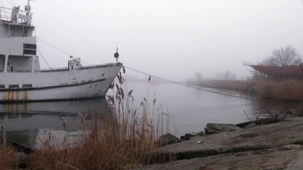 Le navi passeggeri sono ormeggiate nella nebbia sull'autunno del fiume — Video Stock