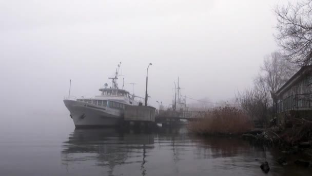 Személyszállító hajók horgonyzó ködben az őszi folyó — Stock videók