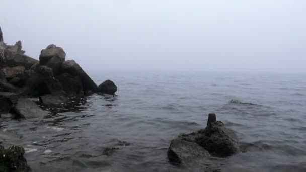 Niebla en el río con barcos en la distancia piedras de otoño — Vídeos de Stock