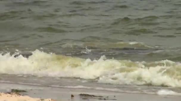 Éclaboussures de vagues de mer en atteignant le rivage — Video