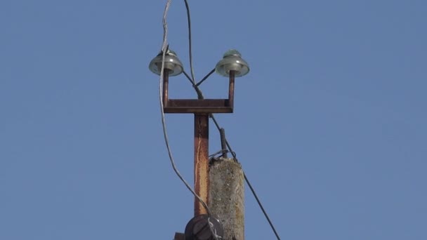 旧生锈的电线杆玻璃绝缘子上的电线 — 图库视频影像
