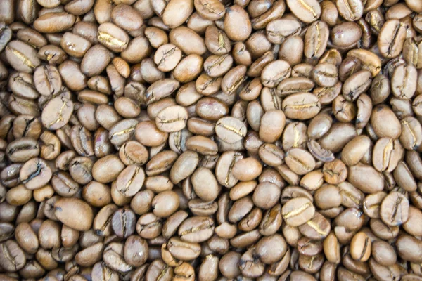 Coffee Bean Background — Stock Photo, Image