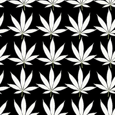 Esrar Beyaz yaprakları