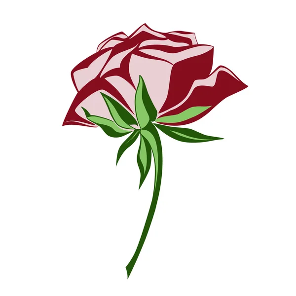 玫瑰花素描 — 图库矢量图片