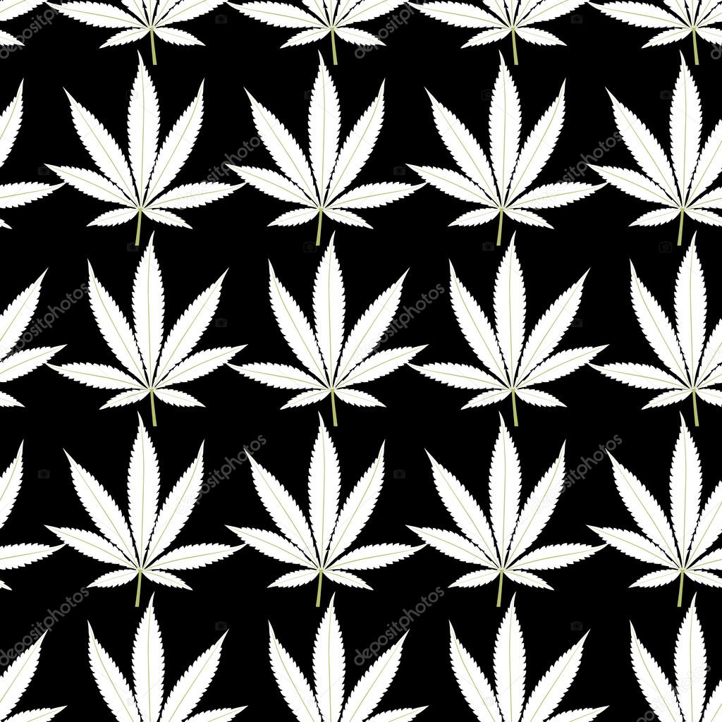 Marijuana white leaves