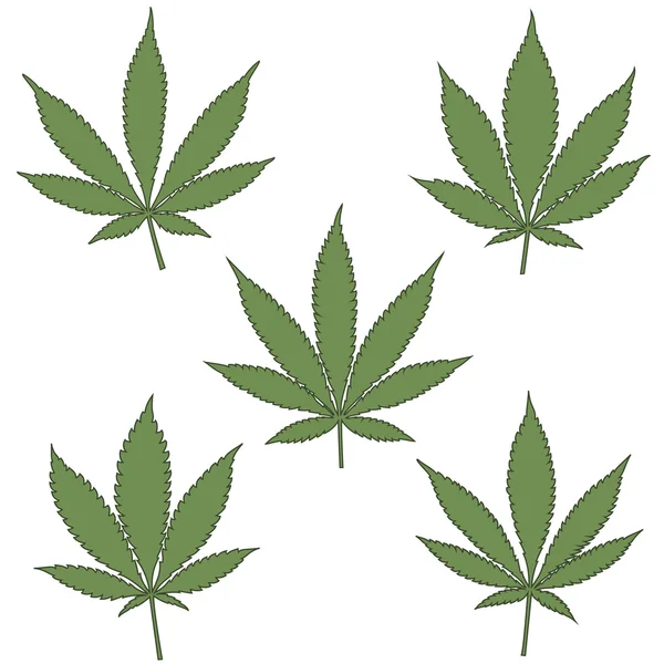 Set van natuurlijke marihuana bladeren. — Stockvector