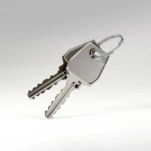 Duas chaves em um anel — Fotografia de Stock