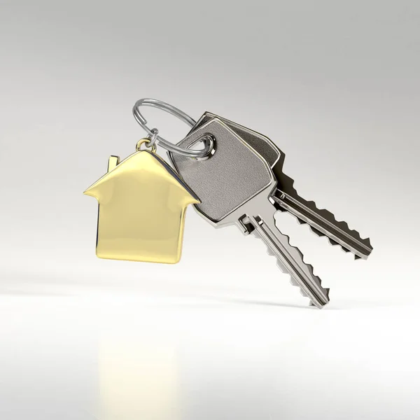 Two Keys Ring Green Plastic House Chain Concept Buying Renting — Stock Photo, Image