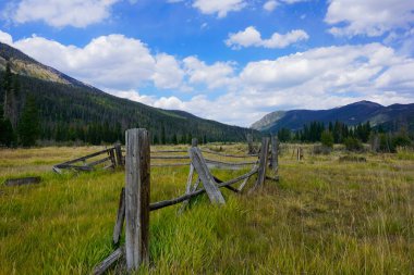 Rocky Dağı Ulusal Parkı 'ndaki bir tarlada eski ahşap çitler.