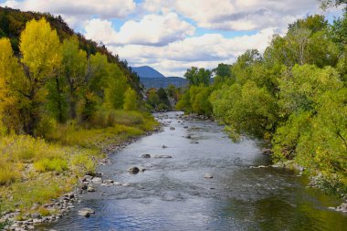 Yampa Nehri, Colorado 'daki Steamboat Springs' ten akıyor.