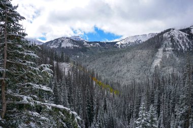 Rocky Dağları 'nda kar taneleri altında sonbahar renkleri