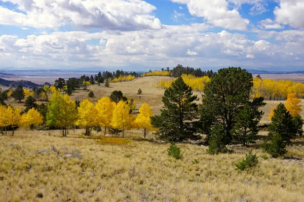 Fall colors in Colorado under a blue sky with white clouds — Stock Photo, Image