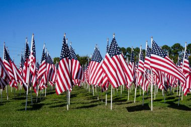 Mavi gökyüzünün altındaki Amerikan Bayrağı Alanı