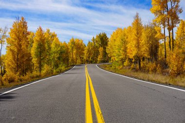 İki şeritli asfaltlı bir yol sonbahar yapraklarını gösteren ağaçlarla kaplı. Colorado 'da 149 numaralı otoyol boyunca..