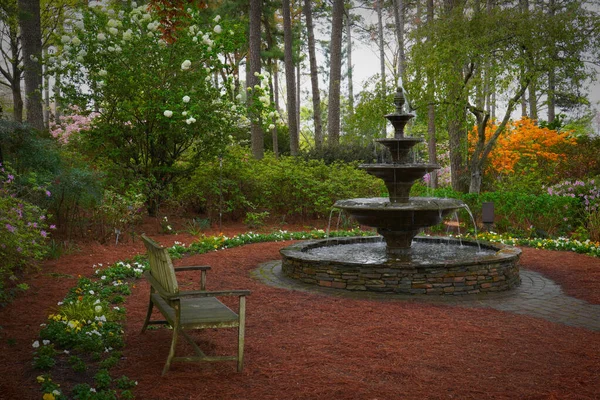Endroit Calme Dans Jardin Azalées Raleigh Caroline Nord Avec Banc — Photo