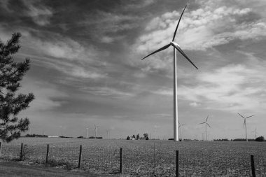 Ohio 'daki bir çiftliğin tarlalarında tüpler kullanılarak rüzgar tarafından üretilen elektrik. Siyah beyaz fotoğraf.