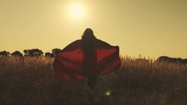 Superheld rent over het veld in een rode mantel fladderend in de wind bij zonsondergang, dromen om de wereld te redden, sterke man die het kwaad overwint, goed doen, tiener imiteert stripboek held in stralen van licht — Stockvideo