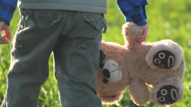 Kleine jongen draagt een teddybeer in zijn handen, een kind met een teddywandeling in het park op een groen grasveld, ontwikkeling van kinderen in een samenleving van mensen, ontwikkelingsachterstand en aandachtstekort in de kindertijd — Stockvideo