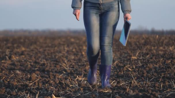 A farmer walks through a field of plowed land in rubber boots with a tablet in his hand, agriculture, an agronomist works in the spring season, plantation of plowed soil ready for sowing soil — Stock Video