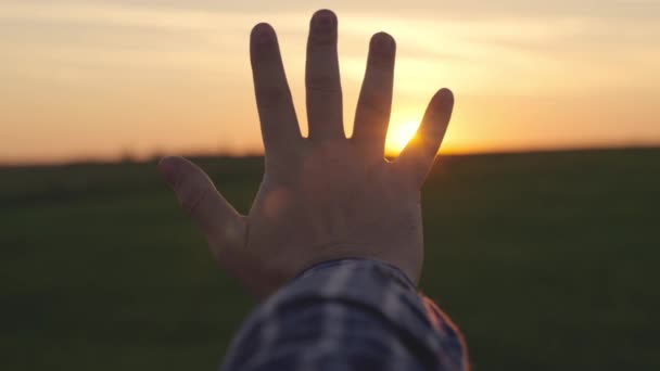 Ευτυχισμένος άνθρωπος χέρι στο ηλιοβασίλεμα. Ηλιοβασίλεμα ανάμεσα στα χέρια ενός άντρα. Ο ευτυχισμένος άντρας με τα όνειρα απλώνει το χέρι του στον ήλιο. Ονειρεμένο χέρι στον ήλιο. χαρούμενη οικογενειακή έννοια — Αρχείο Βίντεο