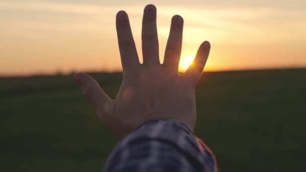 日落时，快乐的男人手牵着手。夕阳西下在一个男人的手中。快乐的人梦游般地把手伸向太阳.做梦的手给太阳。幸福家庭概念 — 图库视频影像