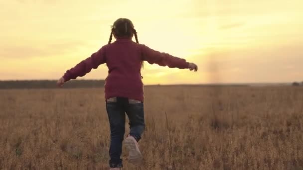 Un petit enfant court au coucher du soleil à travers le champ les mains en l'air, les enfants rêvent de voler, le bébé fantasme d'être pilote, une famille heureuse, la vie d'une enfance joyeuse dans la nature — Video