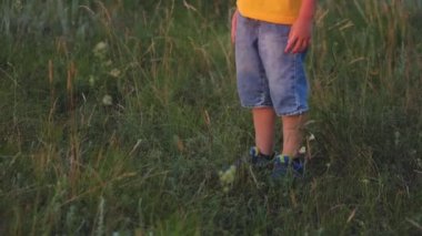 Çocuk yeşil çimenlikte futbol topunu tekmeliyor, küçük çocuk futbol oynuyor, top oynuyor, çocuk hayali hobisi, çocuk şampiyon olmak istiyor, mutlu aile olmak, dışarıda eğlenmek, oyun alanında eğlenmek istiyor.