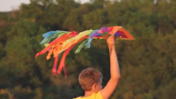 Boy playing with flying kite on green summer field, playing at a holiday with rainbow toy, multi-colored kite in his hand in the wind, a happy childhood outdoors, joyful child is walking, fantasy kid — Stock Video