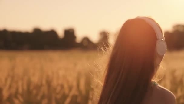 Meisje loopt bij zonsondergang op het veld, 's morgens joggen van gezonde levensstijl bij dageraad, cardio belasting verhogen hartslag, tijd om te dromen, fitness training generatie z, triatlon marathon loopband loper — Stockvideo