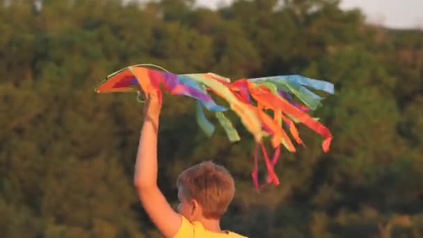 Menino brincando com pipa voadora no campo de verão verde, jogando em um feriado com brinquedo arco-íris, pipa multicolorida na mão ao vento, uma infância feliz ao ar livre, criança alegre está andando, garoto de fantasia — Vídeo de Stock