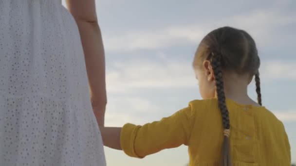 Mère conduit un petit enfant par la main sur le fond du ciel, famille heureuse, enfant tient mère gentille à la main, bébé fille sur la promenade de la nature, fille bien-aimée est élevée avec le parent à l'extérieur — Video