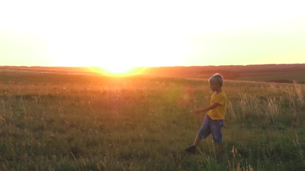 Jungen spielen Fußball auf einem grünen Rasen bei Sonnenuntergang, einem Fußballplatz, ein Kind mit einem Ball in der Sonne, haben Spaß mit Freunden in einem Team, glückliche Kinder, Kindheitstraum Fußballer zu sein, Söhne Fantasie — Stockvideo