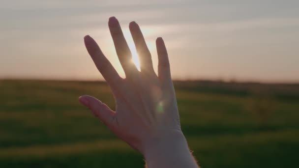Sun glare in the sky through your fingers, fantasize hand at a bright sunset, glare in the sky, a woman praying to the sun, travel on vacation, childrens place, love to live, make a wish — Stock Video