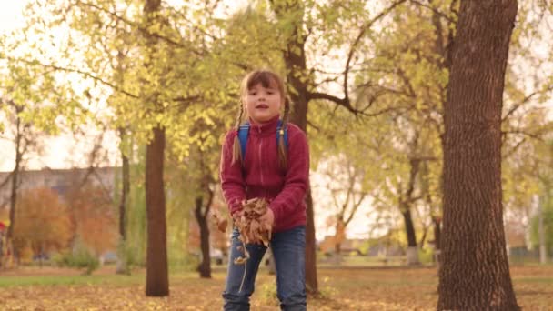 Маленькая счастливая девочка с рюкзаком бросает листья высоко вверх и весело смеется, ребенок играет в осеннем парке, ребенок прогулки в городском парке, поднять лицо глядя на золотой лист осенью сезон — стоковое видео