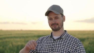 Tabletli çiftçi gülen yeşil buğday tarlası, tarım, yeşil fidanlık çiftliği, tarım arazisi tarım arazisi, zaman ekimi ve hasat, Dacha 'da bahçıvan sebze işçisi.