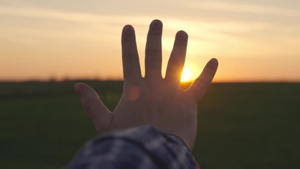 Glad mans hand vid solnedgången. Solnedgång mellan händerna på en man. Lycklig man med drömmande sträcker ut handen mot solen. Dröm hand mot sol. lyckligt familjebegrepp — Stockvideo