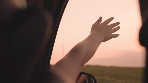 Chica libre extiende su mano desde el coche en una puesta de sol rosa, cogiendo el viento con su mano, mientras que en transporte por carretera, familia feliz, ir de vacaciones de aventura de ensueño, divertirse en el viaje por carretera — Vídeos de Stock
