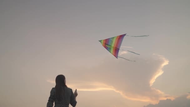 自由的女孩向夕阳西下的天空放风筝，旅途愉快，在大自然的户外玩耍，梦想着飞翔，女人周末带着彩虹色在大自然中嬉戏，迎风飘扬 — 图库视频影像