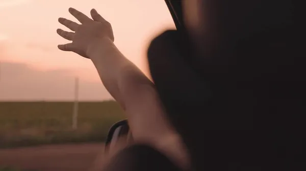 Chica libre extiende su mano desde el coche en una puesta de sol rosa, cogiendo el viento con su mano, mientras que en transporte por carretera, familia feliz, ir de vacaciones de aventura de ensueño, divertirse en el viaje por carretera —  Fotos de Stock