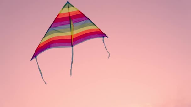 Воздушный змей на розовом фоне неба, детская игрушка летит высоко, радуга игра запуск воздушного змея на ветру, счастливый отпуск, наслаждаться природой — стоковое видео