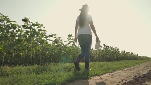 Αγρότης με λαστιχένιες μπότες περπατά κατά μήκος του αγρού μεταφέρουν δισκίο σε λάμψη του ηλιακού φωτός, τη γεωργία, την καλλιέργεια ηλιοτρόπια στο αγρόκτημα, τη συγκομιδή σπόρων για την παραγωγή φυτικά ηλιέλαιο, αγρονόμος καλλιεργήσιμες εκτάσεις — Αρχείο Βίντεο