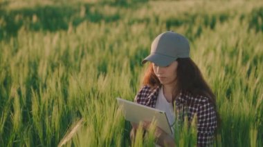 tarım, çiftçi yeşil buğdaylı bir tarlada bir tablet bilgisayarda çalışır, bir tarım işçisi buğday unu için tahıl yetiştirir, tarla ekimlerinde çavdar yetiştirir, bir tarım gözlemcisi tohum filizlenmesini izler, iş kadını