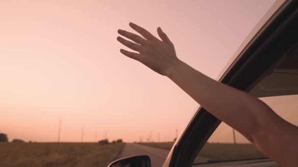 Chica libre extiende su mano desde el coche en una puesta de sol rosa, cogiendo el viento con su mano, mientras que en transporte por carretera, familia feliz, ir de vacaciones de aventura de ensueño, divertirse en el viaje por carretera — Vídeos de Stock