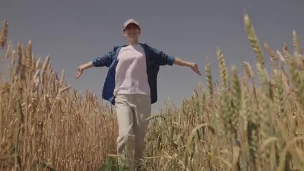 Agriculture, happy agronomist runs across the field with raised hands, farmer works in the countryside, ears of wheat on farm, harvest season time, ripe wheat grains on plantation, cheerful villager — Stock Video