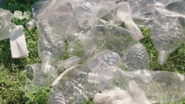 El poşete plastik bir şişe koyar, işlenebilen çöp, eko, çevreyi temiz, yeşil gezegeni güvenli, doğa orman ekosistemi, çevre koruma sorunu, hayır işleri