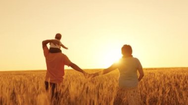 Mutlu aile gün batımında altın buğdayla tarlada yürüyor, anne ve baba gün ışığında seviniyor, çocuk babasının omuzlarında oturuyor, çavdar yetiştiren iş çiftliği, eko, tarım.