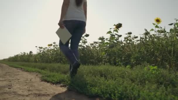 Agricultura, agricultor está caminando a lo largo de la carretera en botas de goma con una tableta en la mano, el cultivo de girasoles en la granja, la cosecha de semillas para la producción de aceite de girasol vegetal, plantación de jardín de tierra. — Vídeos de Stock