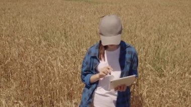 Çiftçilerin tarım tarlaları tablet, tarım, buğday üretim işi, hasat çiftliği, çiftçiler glüten tohumu yetiştiriyor, seçilmiş buğday tarlaları, tahıl kavramı