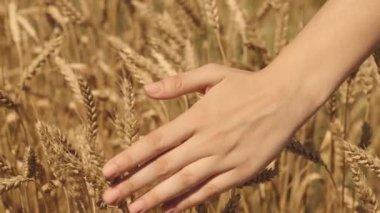 hhhhhhhh, jjjjjjjj, lllllllllllllllllllllllll, fffffff, cccccccc, aaaaaaaaa, ooooooooooooooo, rrrrr,