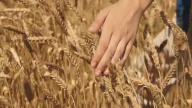 hhhhhhhh, jjjjjjjj, lllllllllllllllllllllllll, fffffff, cccccccc, aaaaaaaaa, ooooooooooooooo, rrrrr,